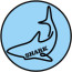 Shark Model