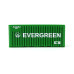 Kontejner ,,EVERGREEN", H0, BuBiModel h070134