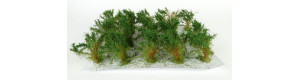 Vysoké keře, mikro listí, zelená střední, Polák 9204