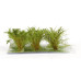 Střední keře, mikro listí, zelená savana, 6 ks, Polák 9301