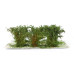 Střední keře, jemné listí, zelená dubová, 6 ks, Polák 9315