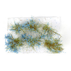 Střední keře, kvetoucí, modrá, 6 ks, Polák 9388