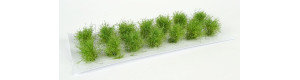 Nízké keře, mikro listí, zelená světlá, Polák 9102