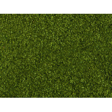 Foliáž, střední zelená, 20 × 23 cm, Noch 07300