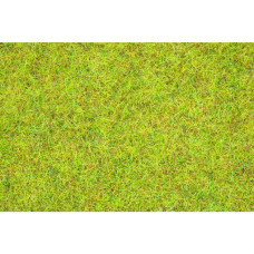 Statická tráva, letní louka, Noch 08151