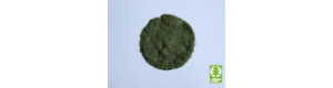 Statická tráva 2 mm – časné léto 50 g, Model Scene 002-03