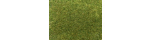 Statická tráva, střední zelená, 9 mm, Noch 07118