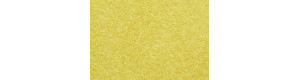 Statická tráva, zlatožlutá, 6 mm, 50 g, Noch 07083