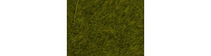Statická tráva, louka, 6 mm, 100 g, Noch 07090