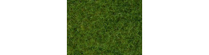 Statická tráva, světle zelená, 6 mm, 100 g, Noch 07092