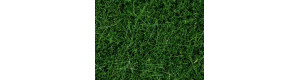Statická tráva, tmavě zelená, 6 mm, 100 g, Noch 07094