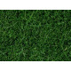 Statická tráva, tmavě zelená, 6 mm, 100 g, Noch 07094