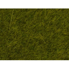 Statická tráva, louka, 6 mm, 50 g, Noch 07100