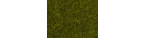 Statická tráva, louka, 6 mm, 50 g, Noch 07100