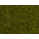 Statická tráva, louka, 6 mm, 50 g, Noch 07100