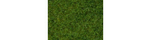 Statická tráva, světle zelená, 6 mm, 50 g, Noch 07102