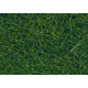 Statická tráva XL, tmavě zelená, 12 mm, 40 g, DOPRODEJ, Noch 07116