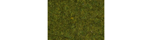 Statická tráva, louka, 9 mm, 50 g, Noch 07117