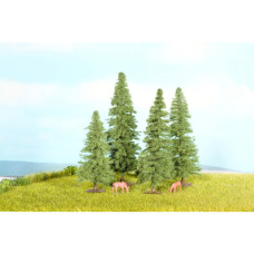 Jedle, 4 kusy, 8 - 12 cm, Noch 25232