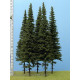 Smrk s krátkým kmenem, výška 250 mm (v reálu 30 m), Model Scene SK252