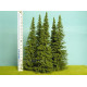 Smrk bez kmene, výška 200 mm (v reálu 24 m), Model Scene SM200