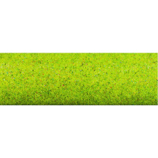 Travní koberec, květinová louka, Noch 00270