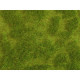 Travní koberec Natur+, svěží louka, Noch 07470