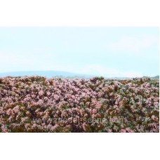 Lesní základ vřesoviště – foliáž, Model Scene F630