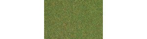 Travní koberec, louka, střední zelená, 75 x 100 cm, Auhagen 75212