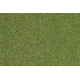 Travní koberec, louka, střední zelená, 75 x 100 cm, Auhagen 75212