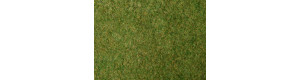 Travní foliáž, světle zelená, 20 × 23 cm, Noch 07280