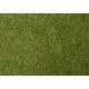 Travní foliáž, světle zelená, 20 × 23 cm, Noch 07280