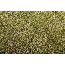 Travní foliáž Kvetoucí jetel, Agroline, Model Scene F430