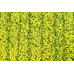 Travní foliáž Řepka kvetoucí, Agroline, Model Scene F450