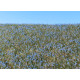Travní foliáž Len kvetoucí, Agroline, Model Scene F470