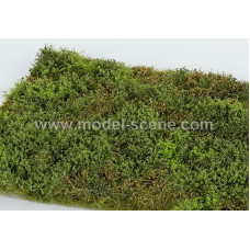 Travní foliáž Divočina s keři – jarní, Model Scene F571