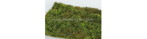 Travní foliáž Divočina s keři – jarní, Model Scene F571