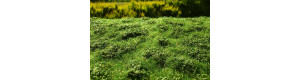 Travní foliáž Křoviny nízké časné léto, Model Scene F502 (508)