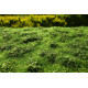 Travní foliáž Křoviny nízké časné léto, Model Scene F502 (508)