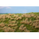 Travní foliáž Neudržovaná louka jarní, Model Scene F521