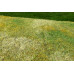 Travní foliáž Standard – Sečená louka podzimní, Model Scene F003