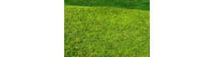 Travní foliáž Standard – Nesečená louka jarní, Model Scene F021