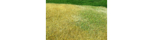 Travní foliáž Standard – Nesečená louka podzimní, Model Scene F023