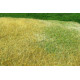 Travní foliáž Standard – Nesečená louka podzimní, Model Scene F023