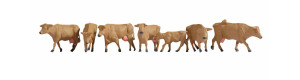 Krávy, hnědé, H0, Noch 15727