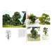 Modelling Trees Part One - Broadleaf Trees, Gordon Gravett, Wild Swan